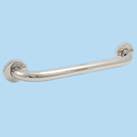 Chrome Plate Grab Bar