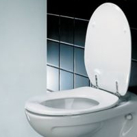 Toilet Seat Pressalit Dania With Cover