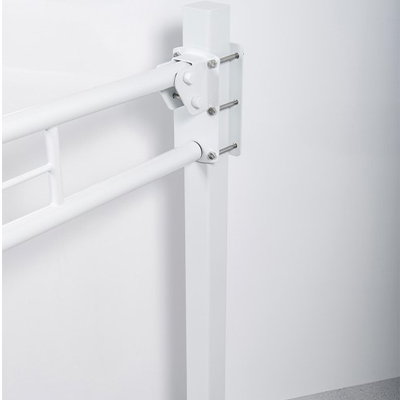 Floor Mounted Double Arm Hinged Rail