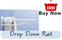 Folding Grab Rail 