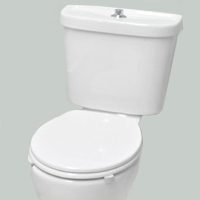 I-Care Comfort Height Mobility Toilet