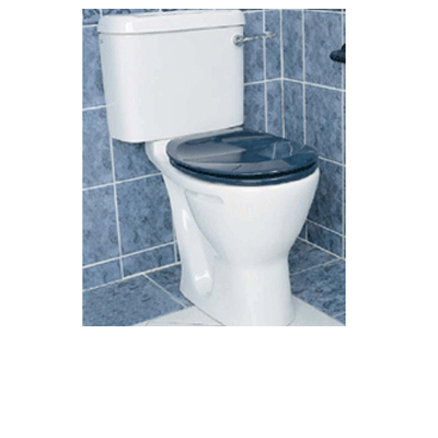 Modern WC Toilet